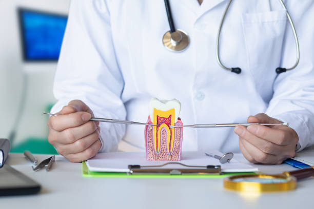 Best Emergency Dental Extractions in Dundee, MI
